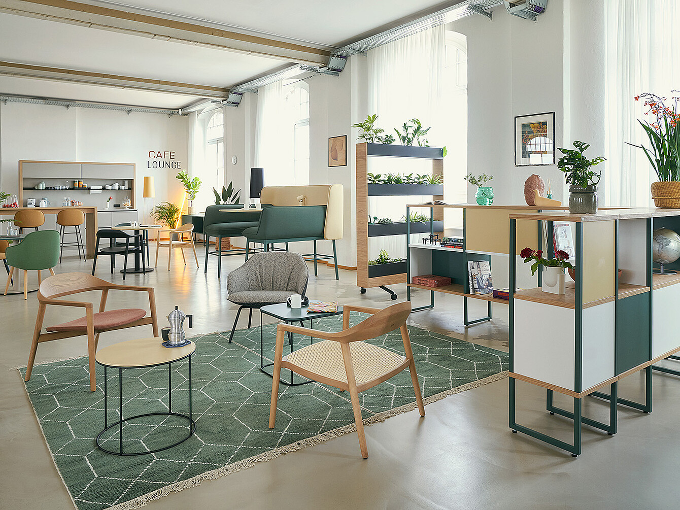 Salon de café moderne avec des chaises en bois, des petites tables, des plantes vertes sur des étagères et un tapis à motifs géométriques