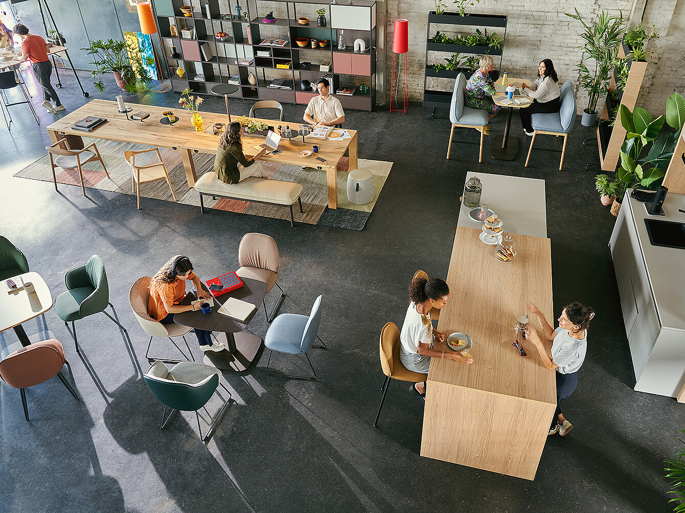 Espace de bureau ouvert où les employés travaillent et discutent autour de tables et de chaises en bois, entourés de plantes et d’étagères
