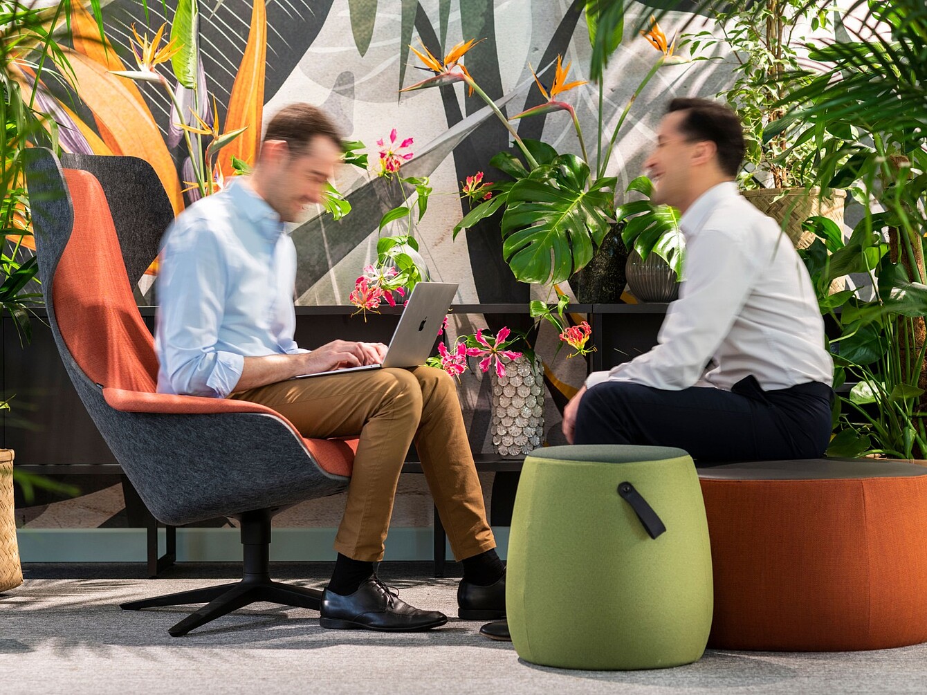 Dos personas sentadas en un espacio de oficina lleno de plantas, una utilizando un ordenador portátil y la otra frente a ella, separadas por una mesa baja