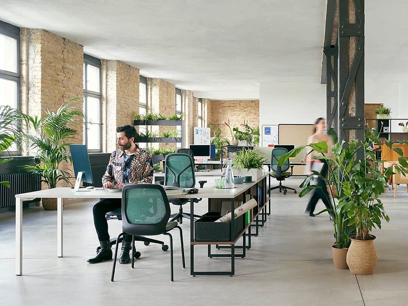 Bureau ouvert et lumineux avec plusieurs bureaux, des chaises de bureau ergonomiques, des étagères et de nombreuses plantes.