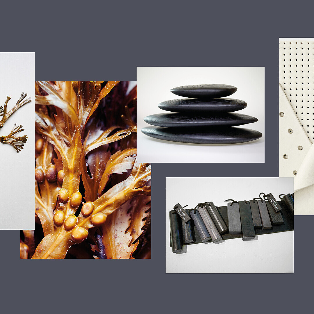 Collage of natural and manufactured materials including a dried seaweed branch, close-up of a seaweed texture, stacked smooth black stones, a black segmented object, and a white perforated sheet with folded corners