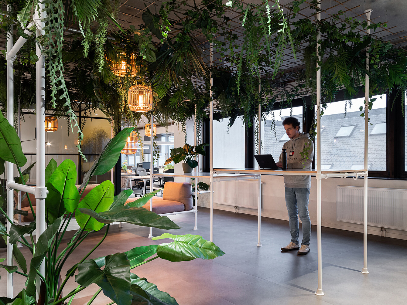 Hombre de pie trabajando con un ordenador portátil en una mesa alta en un espacio de oficina diáfano con plantas colgantes y luz natural